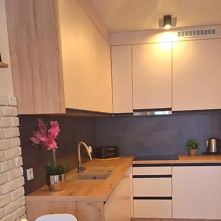 Blue Polana Szaflarska Apartment